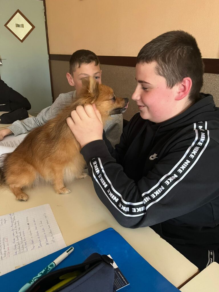 élève qui caresse un chien