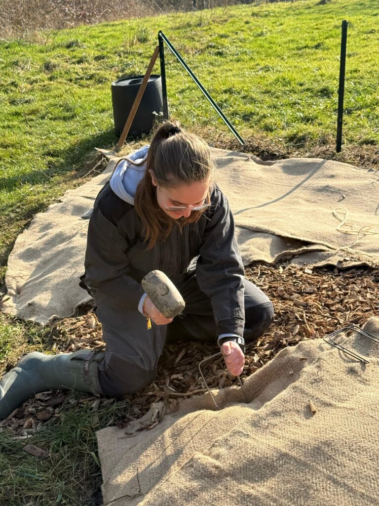 une forêt comestible