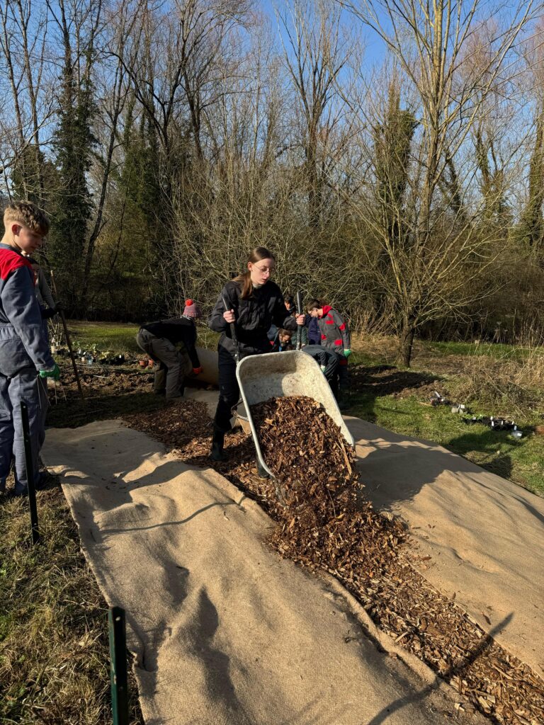 une forêt comestible